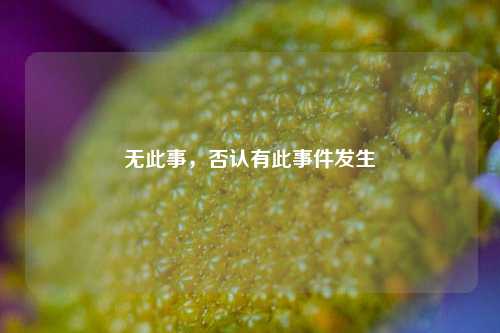 无此事，否认有此事件发生