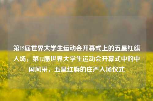 第12届世界大学生运动会开幕式上的五星红旗入场，第12届世界大学生运动会开幕式中的中国风采，五星红旗的庄严入场仪式