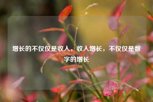 增长的不仅仅是收入，收入增长，不仅仅是数字的增长