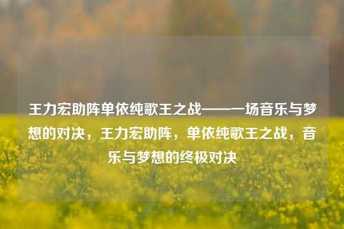 王力宏助阵单依纯歌王之战——一场音乐与梦想的对决，王力宏助阵，单依纯歌王之战，音乐与梦想的终极对决
