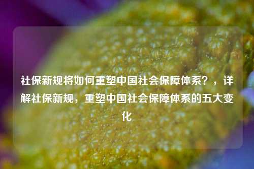 社保新规将如何重塑中国社会保障体系？，详解社保新规，重塑中国社会保障体系的五大变化