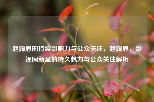 赵露思的持续影响力与公众关注，赵露思，影视圈新星的持久魅力与公众关注解析