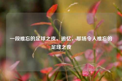 一段难忘的足球之夜，追忆，那场令人难忘的足球之夜