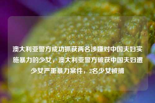 澳大利亚警方成功抓获两名涉嫌对中国夫妇实施暴力的少女，澳大利亚警方破获中国夫妇遭少女严重暴力案件，2名少女被捕