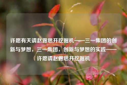 许愿有天请赵露思开挖掘机——三一集团的创新与梦想，三一集团，创新与梦想的实践——许愿请赵露思开挖掘机