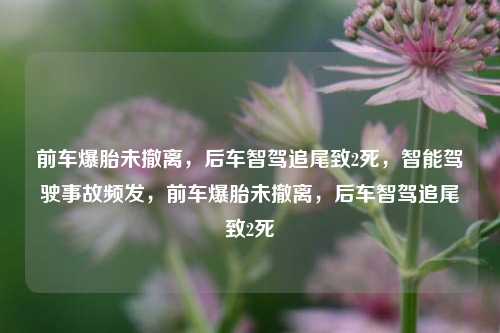 前车爆胎未撤离，后车智驾追尾致2死，智能驾驶事故频发，前车爆胎未撤离，后车智驾追尾致2死