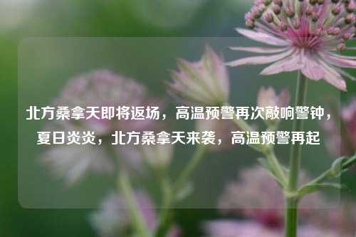 北方桑拿天即将返场，高温预警再次敲响警钟，夏日炎炎，北方桑拿天来袭，高温预警再起