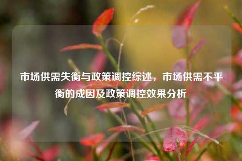 市场供需失衡与政策调控综述，市场供需不平衡的成因及政策调控效果分析