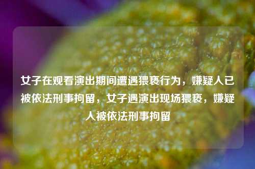 女子在观看演出期间遭遇猥亵行为，嫌疑人已被依法刑事拘留，女子遇演出现场猥亵，嫌疑人被依法刑事拘留