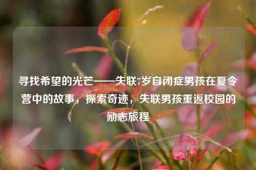 寻找希望的光芒——失联7岁自闭症男孩在夏令营中的故事，探索奇迹，失联男孩重返校园的励志旅程