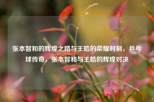 张本智和的辉煌之路与王皓的荣耀时刻，乒乓球传奇，张本智和与王皓的辉煌对决