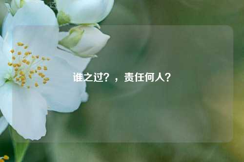 谁之过？，责任何人？