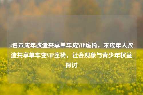 4名未成年改造共享单车成VIP座椅，未成年人改造共享单车变VIP座椅，社会现象与青少年权益探讨