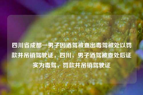 四川省成都一男子因酒驾被查出毒驾被处以罚款并吊销驾驶证，四川，男子酒驾被查处后证实为毒驾，罚款并吊销驾驶证