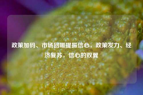 政策加码、市场回暖提振信心，政策发力、经济复苏，信心的双翼