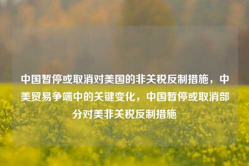 中国暂停或取消对美国的非关税反制措施，中美贸易争端中的关键变化，中国暂停或取消部分对美非关税反制措施