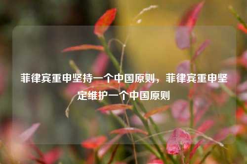 菲律宾重申坚持一个中国原则，菲律宾重申坚定维护一个中国原则