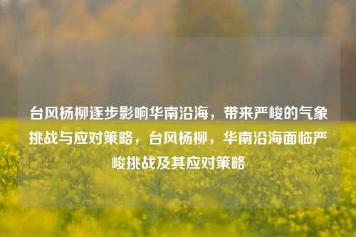 台风杨柳逐步影响华南沿海，带来严峻的气象挑战与应对策略，台风杨柳，华南沿海面临严峻挑战及其应对策略