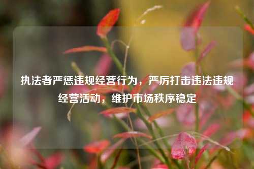 执法者严惩违规经营行为，严厉打击违法违规经营活动，维护市场秩序稳定