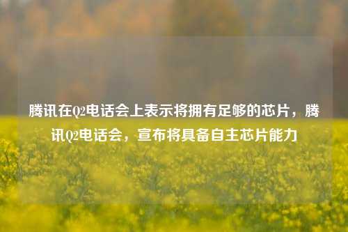 腾讯在Q2电话会上表示将拥有足够的芯片，腾讯Q2电话会，宣布将具备自主芯片能力