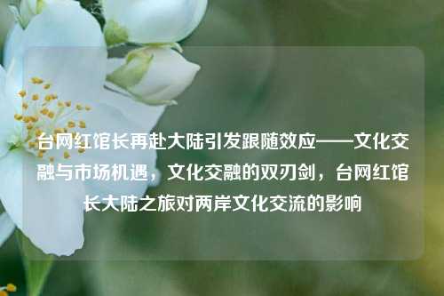 台网红馆长再赴大陆引发跟随效应——文化交融与市场机遇，文化交融的双刃剑，台网红馆长大陆之旅对两岸文化交流的影响