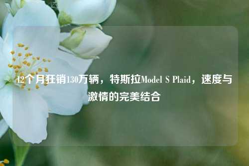 12个月狂销130万辆，特斯拉Model S Plaid，速度与激情的完美结合