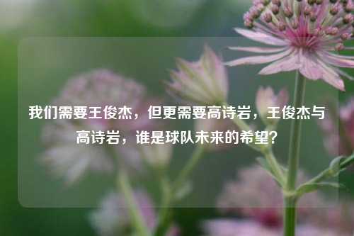我们需要王俊杰，但更需要高诗岩，王俊杰与高诗岩，谁是球队未来的希望？