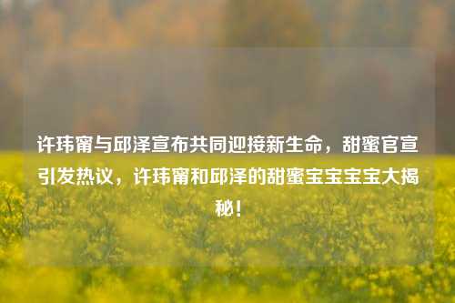 许玮甯与邱泽宣布共同迎接新生命，甜蜜官宣引发热议，许玮甯和邱泽的甜蜜宝宝宝宝大揭秘！