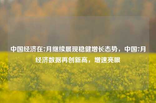 中国经济在7月继续展现稳健增长态势，中国7月经济数据再创新高，增速亮眼