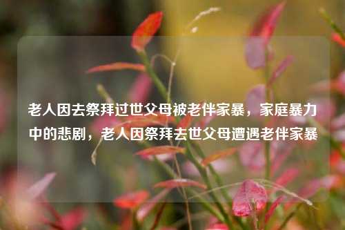 老人因去祭拜过世父母被老伴家暴，家庭暴力中的悲剧，老人因祭拜去世父母遭遇老伴家暴