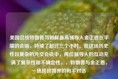 美国总统特朗普与朝鲜最高领导人金正恩在平壤的会晤，持续了超过三个小时。在这场历史性且复杂的外交会谈中，两位领导人的互动充满了复杂性和不确定性。，特朗普与金正恩，一场跨越国界的和平对话