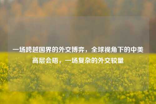 一场跨越国界的外交博弈，全球视角下的中美高层会晤，一场复杂的外交较量