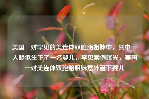 美国一对罕见的美连体双胞胎姐妹中，其中一人疑似生下了一名婴儿，罕见案例曝光，美国一对美连体双胞胎姐妹意外诞下婴儿