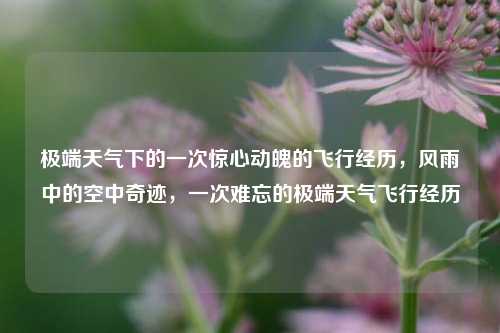 极端天气下的一次惊心动魄的飞行经历，风雨中的空中奇迹，一次难忘的极端天气飞行经历