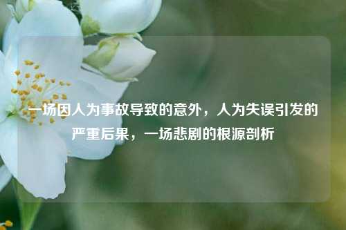 一场因人为事故导致的意外，人为失误引发的严重后果，一场悲剧的根源剖析
