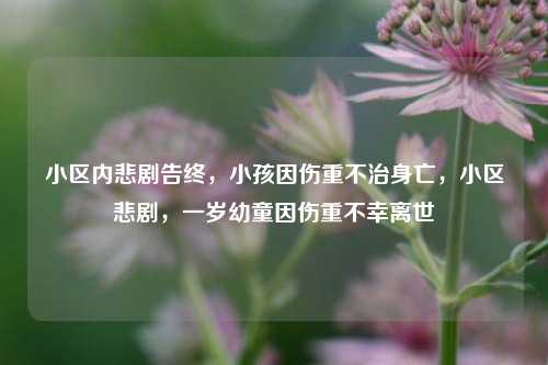 小区内悲剧告终，小孩因伤重不治身亡，小区悲剧，一岁幼童因伤重不幸离世