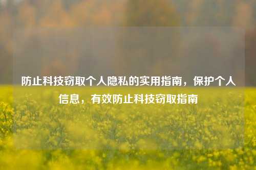 防止科技窃取个人隐私的实用指南，保护个人信息，有效防止科技窃取指南