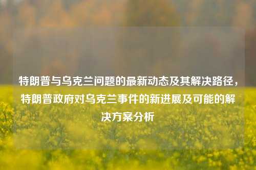 特朗普与乌克兰问题的最新动态及其解决路径，特朗普政府对乌克兰事件的新进展及可能的解决方案分析