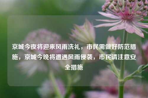 京城今夜将迎来风雨洗礼，市民需做好防范措施，京城今晚将遭遇风雨侵袭，市民请注意安全措施