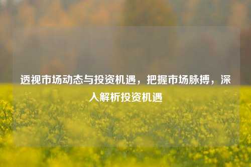 透视市场动态与投资机遇，把握市场脉搏，深入解析投资机遇