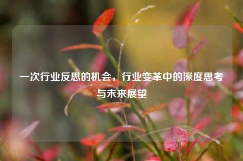 一次行业反思的机会，行业变革中的深度思考与未来展望