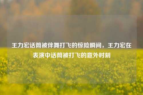 王力宏话筒被伴舞打飞的惊险瞬间，王力宏在表演中话筒被打飞的意外时刻
