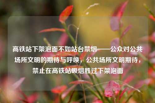 高铁站下架泡面不如站台禁烟——公众对公共场所文明的期待与呼唤，公共场所文明期待，禁止在高铁站吸烟胜过下架泡面