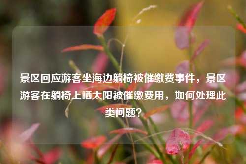 景区回应游客坐海边躺椅被催缴费事件，景区游客在躺椅上晒太阳被催缴费用，如何处理此类问题？