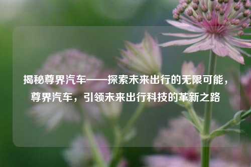 揭秘尊界汽车——探索未来出行的无限可能，尊界汽车，引领未来出行科技的革新之路