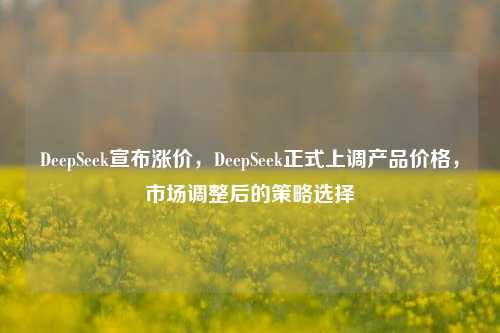 DeepSeek宣布涨价，DeepSeek正式上调产品价格，市场调整后的策略选择