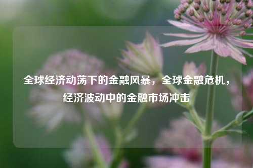 全球经济动荡下的金融风暴，全球金融危机，经济波动中的金融市场冲击