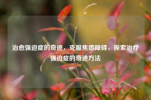 治愈强迫症的奇迹，克服焦虑障碍，探索治疗强迫症的奇迹方法