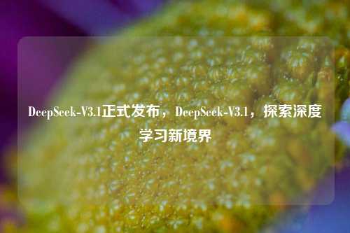 DeepSeek-V3.1正式发布，DeepSeek-V3.1，探索深度学习新境界