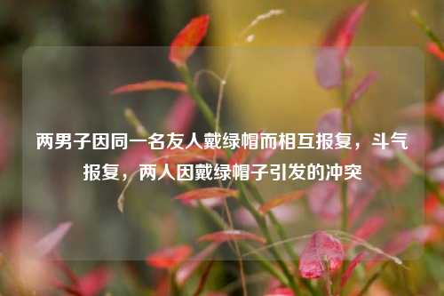 两男子因同一名友人戴绿帽而相互报复，斗气报复，两人因戴绿帽子引发的冲突